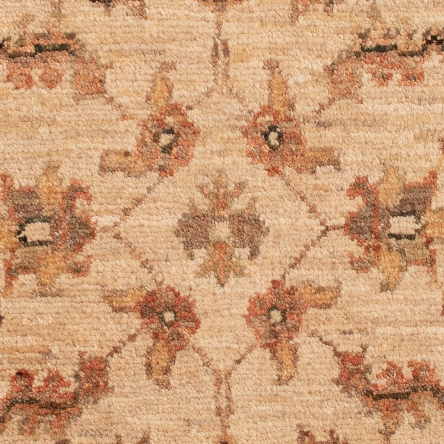 Ziegler tapijt - 75 x 52 cm - beige