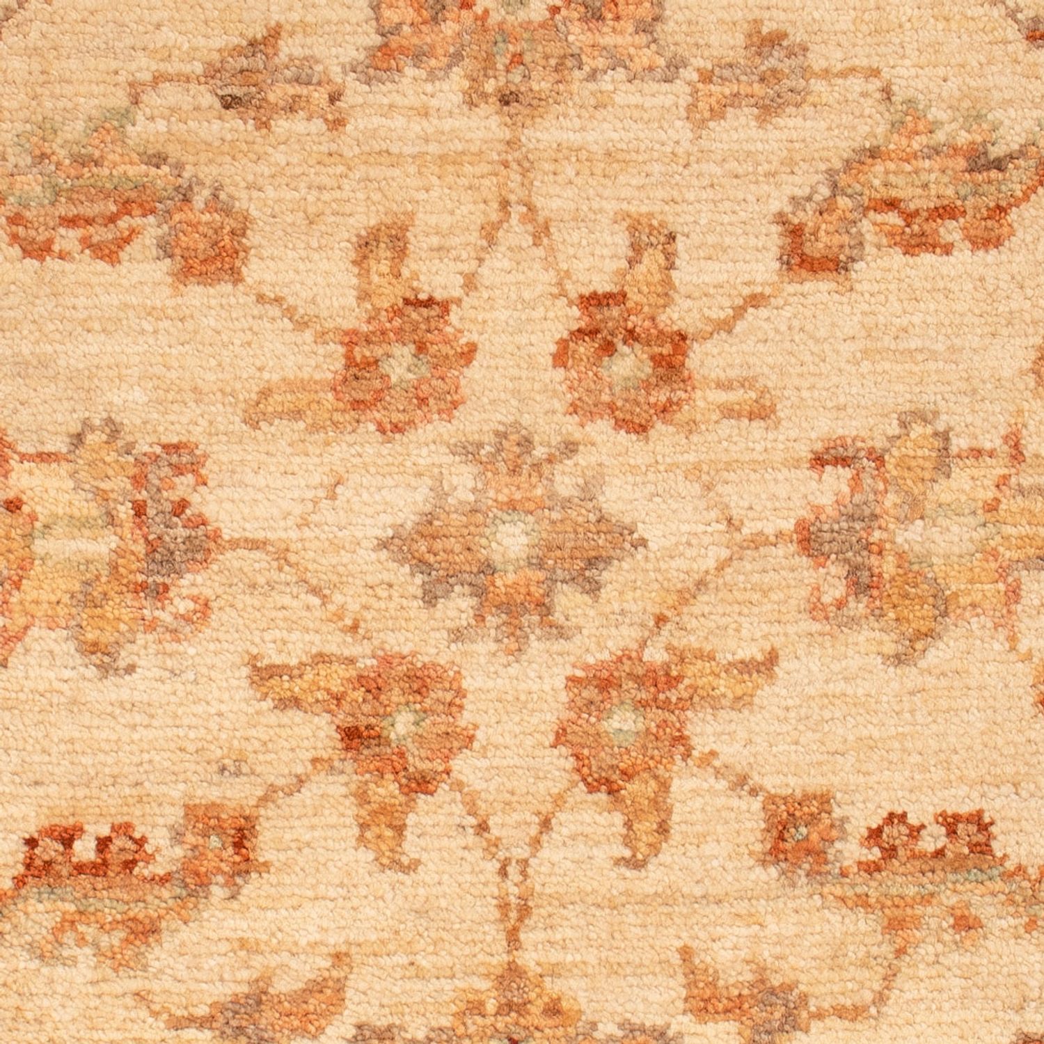 Ziegler tapijt - 70 x 52 cm - beige