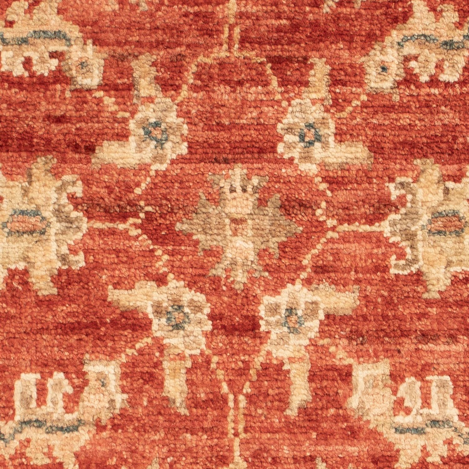 Ziegler Carpet - 68 x 51 cm - röd