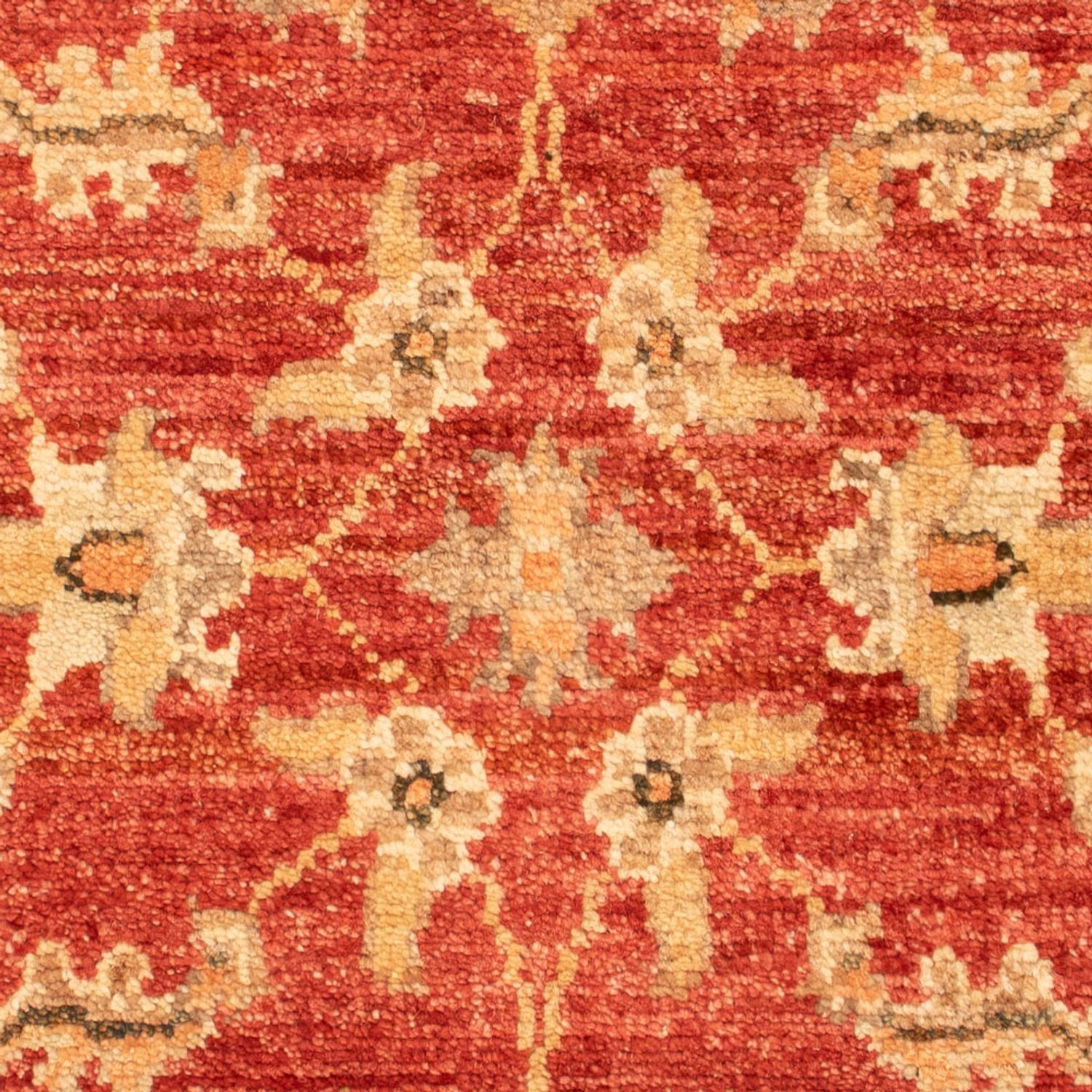 Ziegler Carpet - 71 x 52 cm - röd