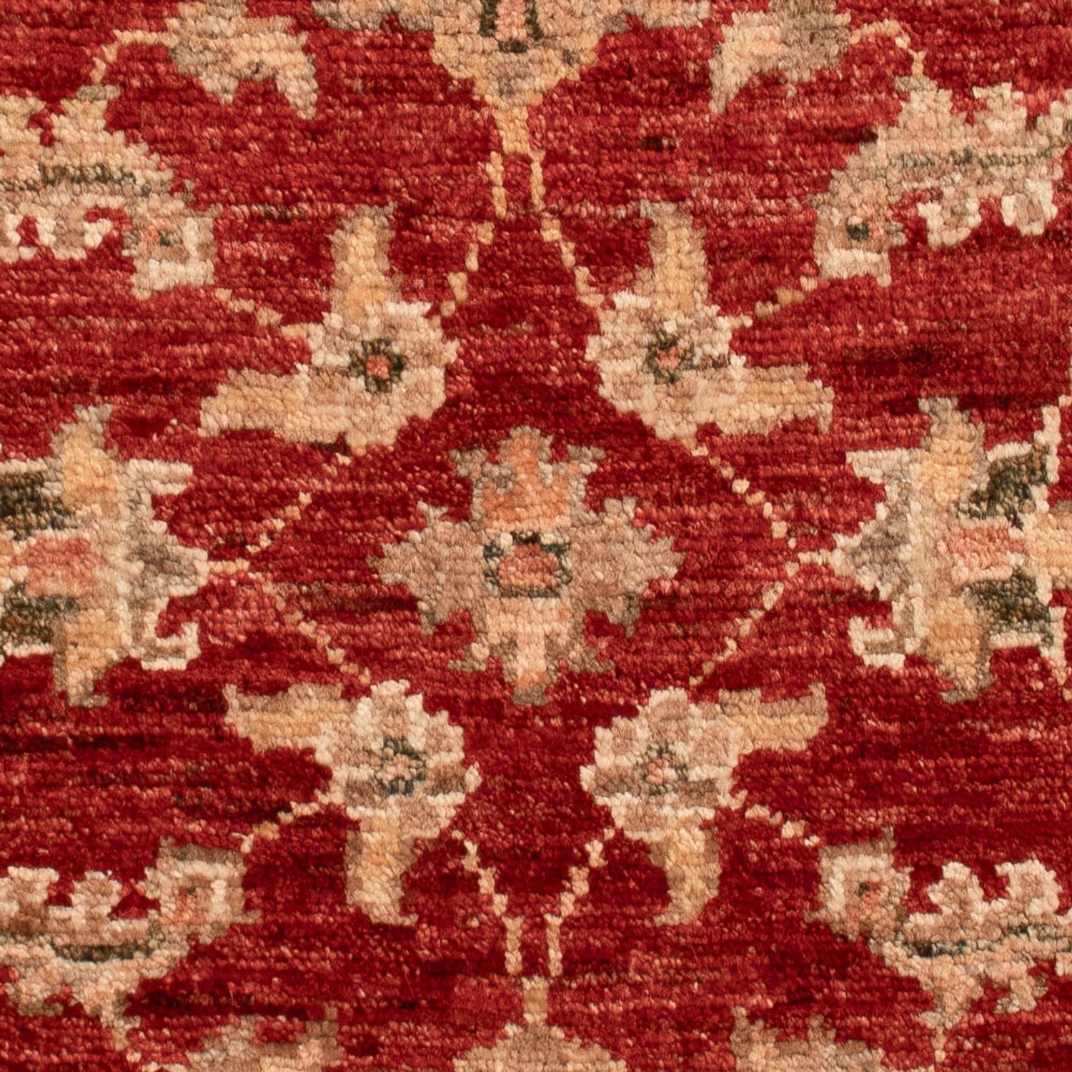 Ziegler Carpet - 73 x 55 cm - röd