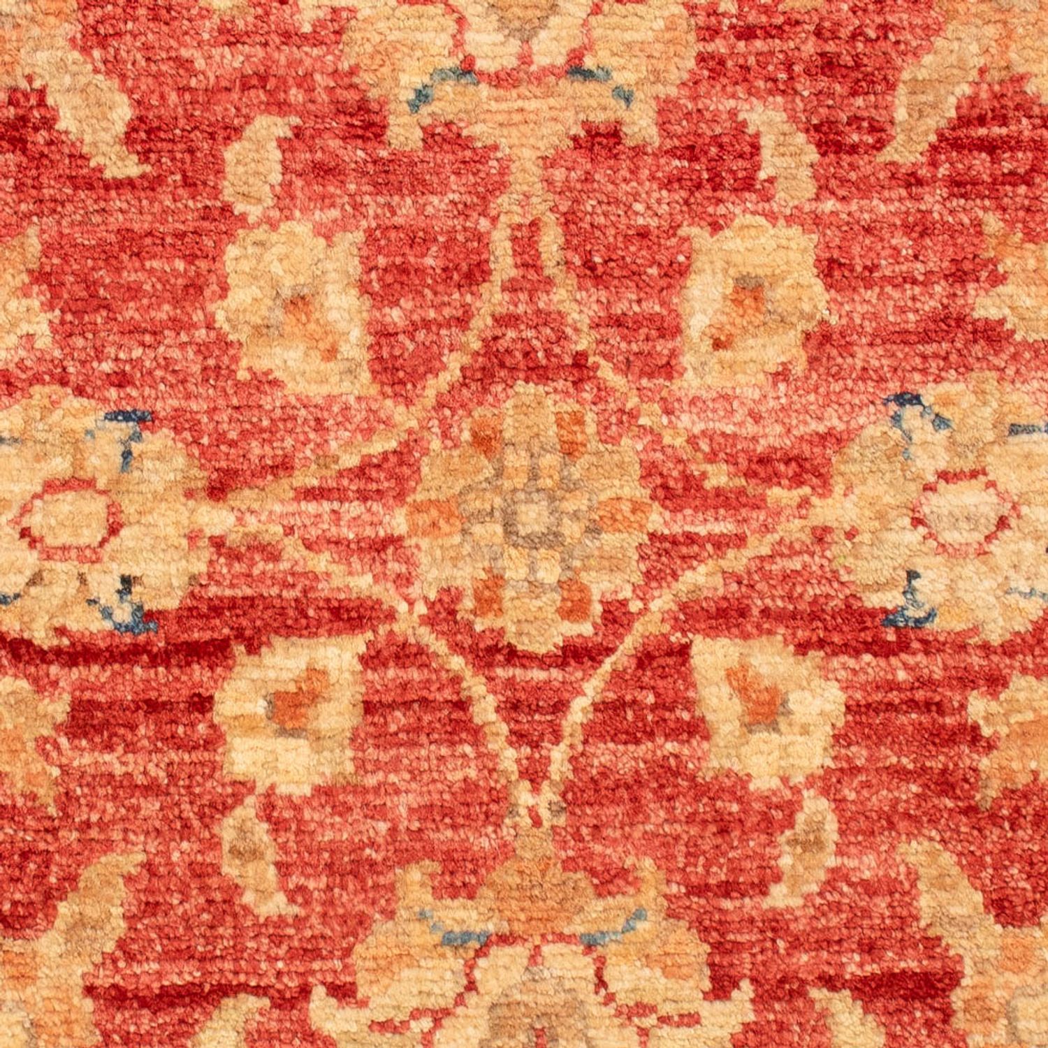 Ziegler Carpet - 72 x 52 cm - röd