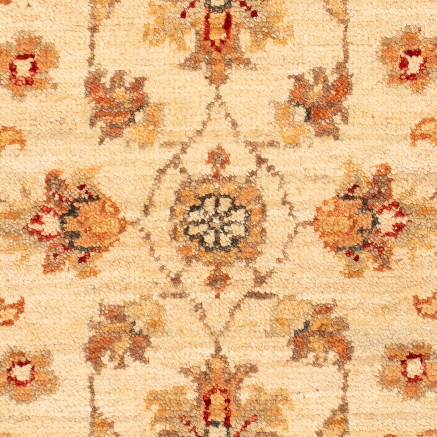 Ziegler Teppe - 74 x 50 cm - beige