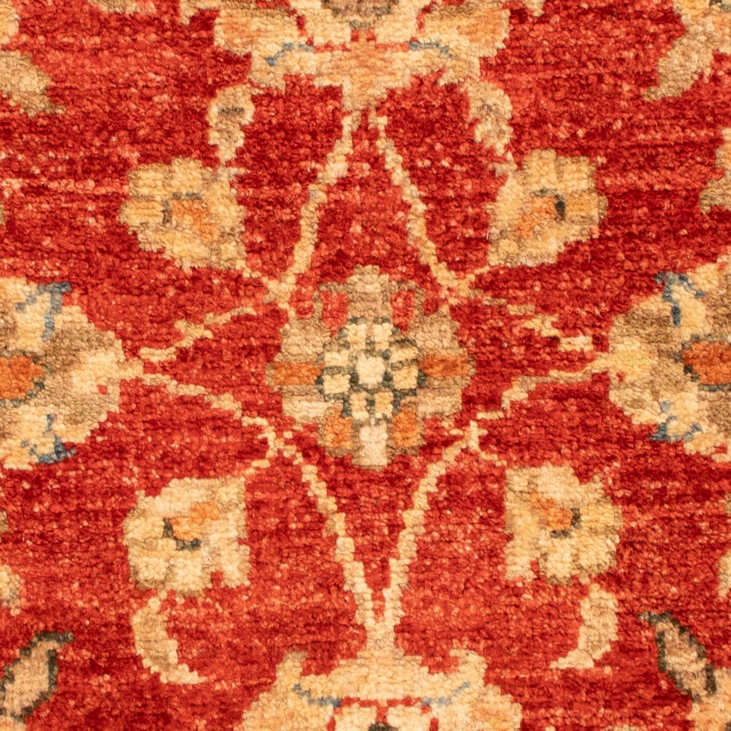 Ziegler Carpet - 67 x 52 cm - röd