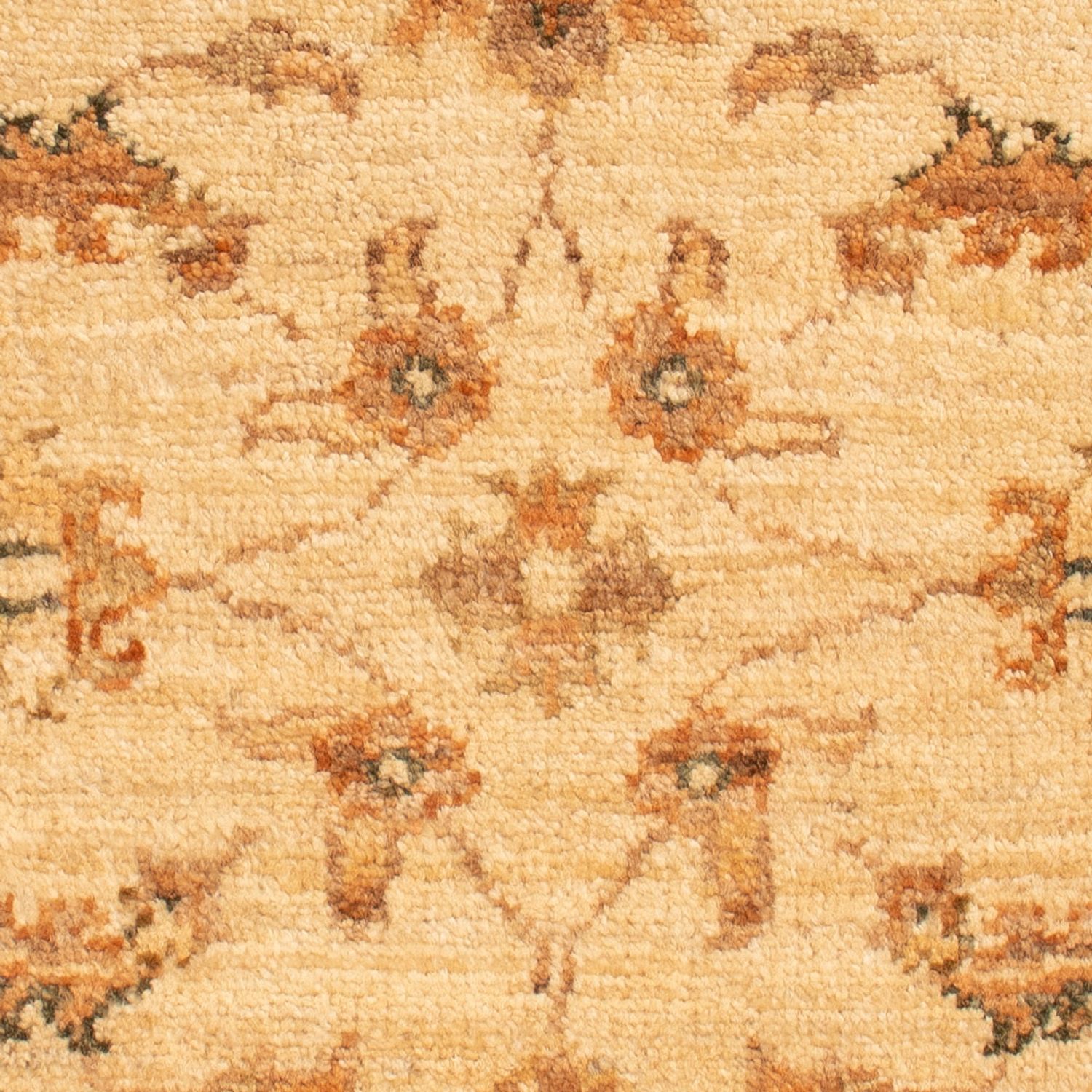 Ziegler tapijt - 63 x 55 cm - beige