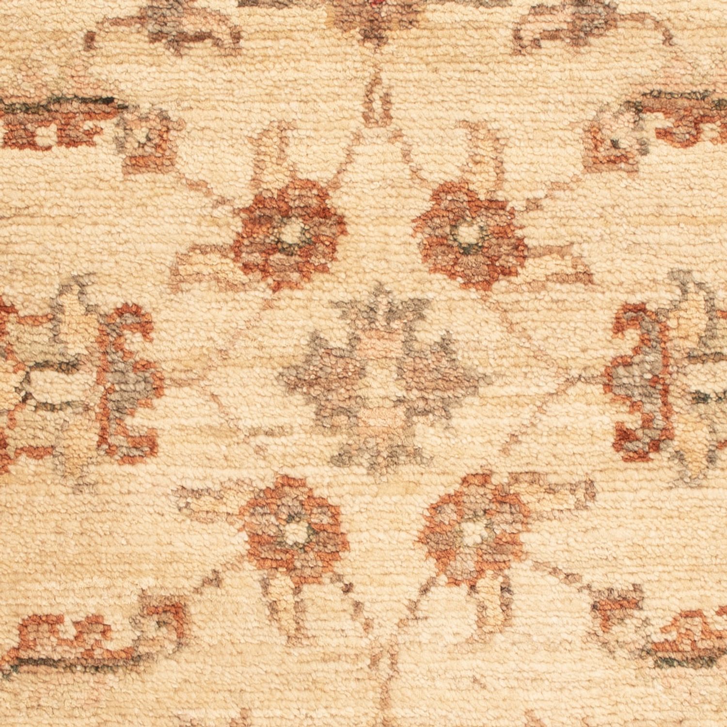 Ziegler Teppe - 65 x 50 cm - beige