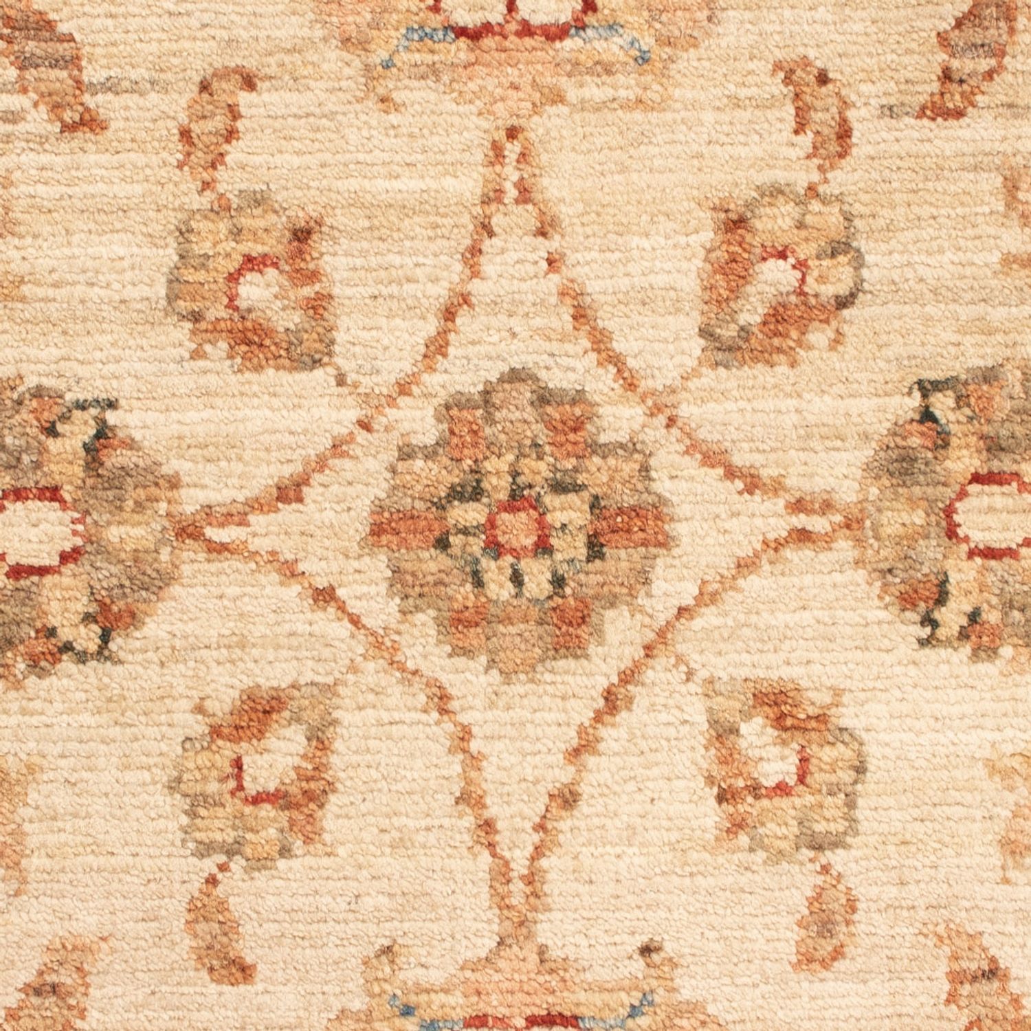 Ziegler tapijt - 70 x 50 cm - beige