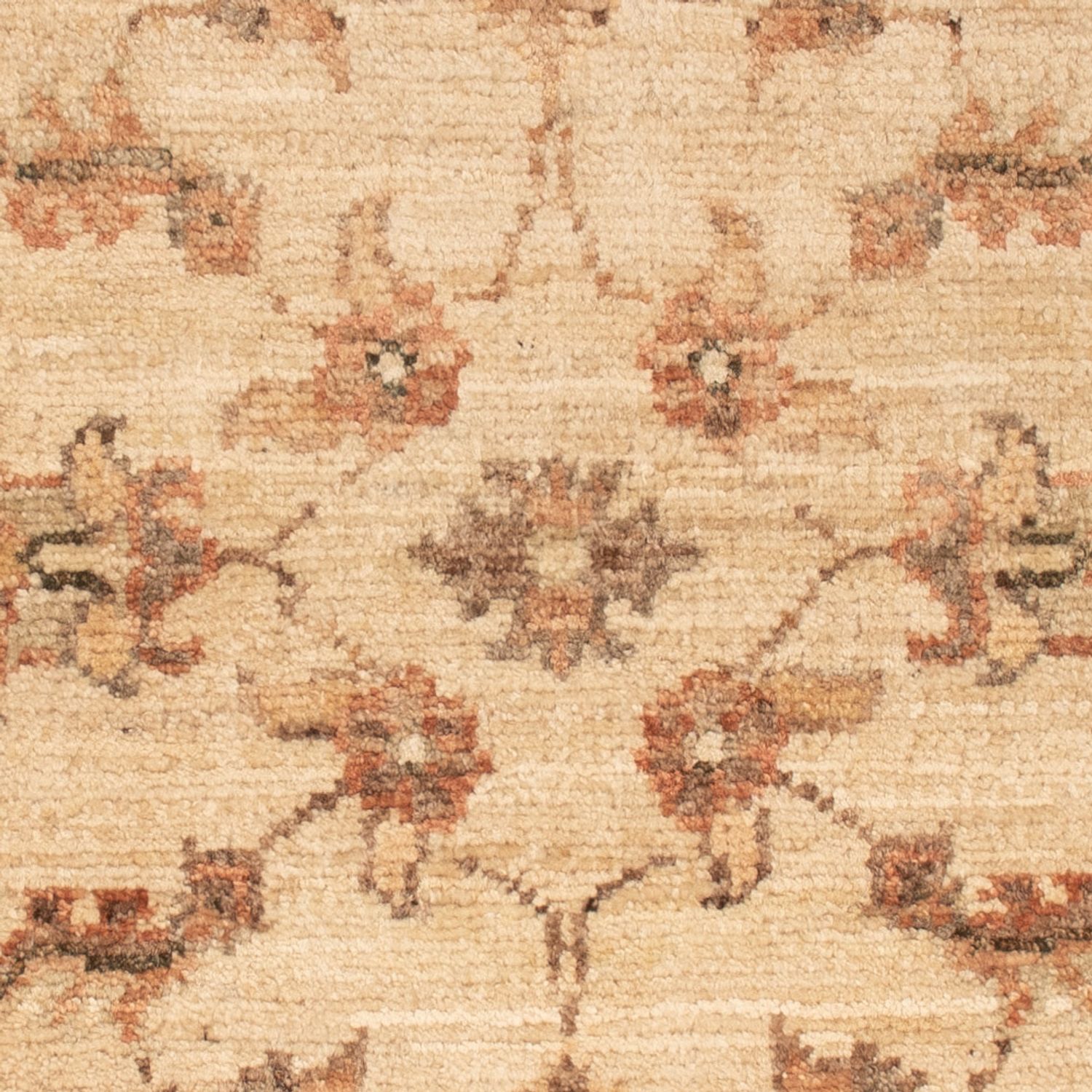 Ziegler tapijt - 72 x 50 cm - beige