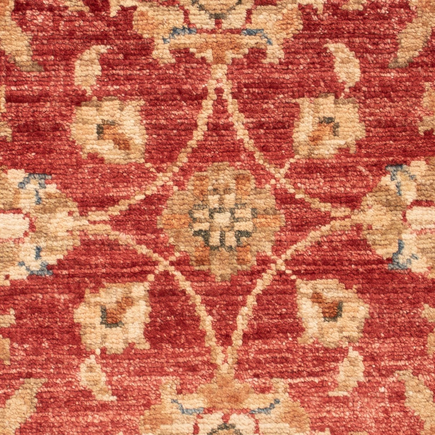 Ziegler Carpet - 70 x 53 cm - rød