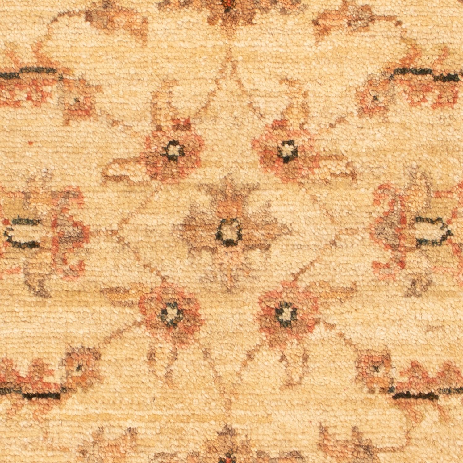 Ziegler Carpet - 69 x 53 cm - beige