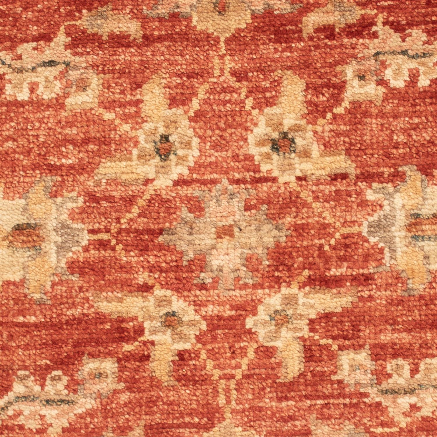 Ziegler Carpet - 70 x 53 cm - rød