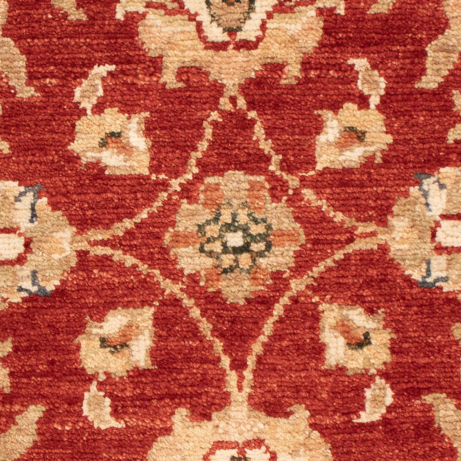 Ziegler Carpet - 68 x 49 cm - röd