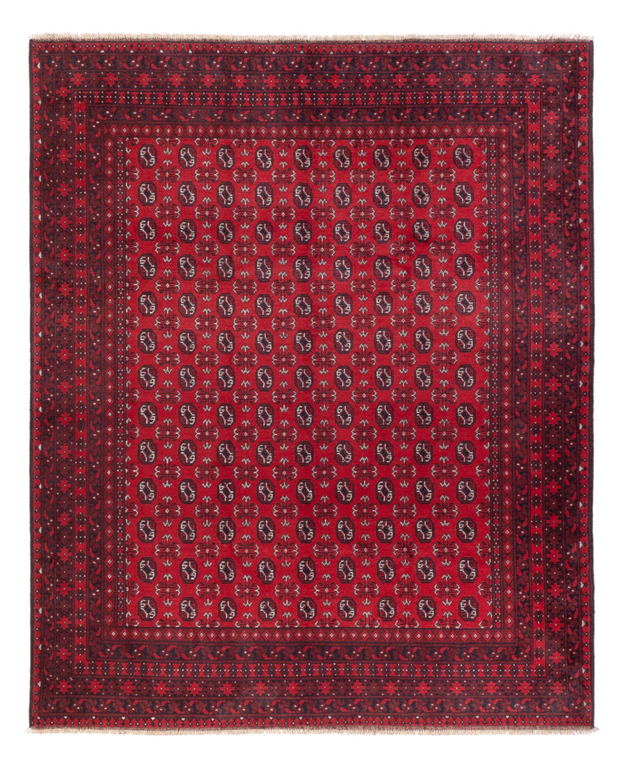 Afghan Teppich - Filpa - 302 x 245 cm - rot