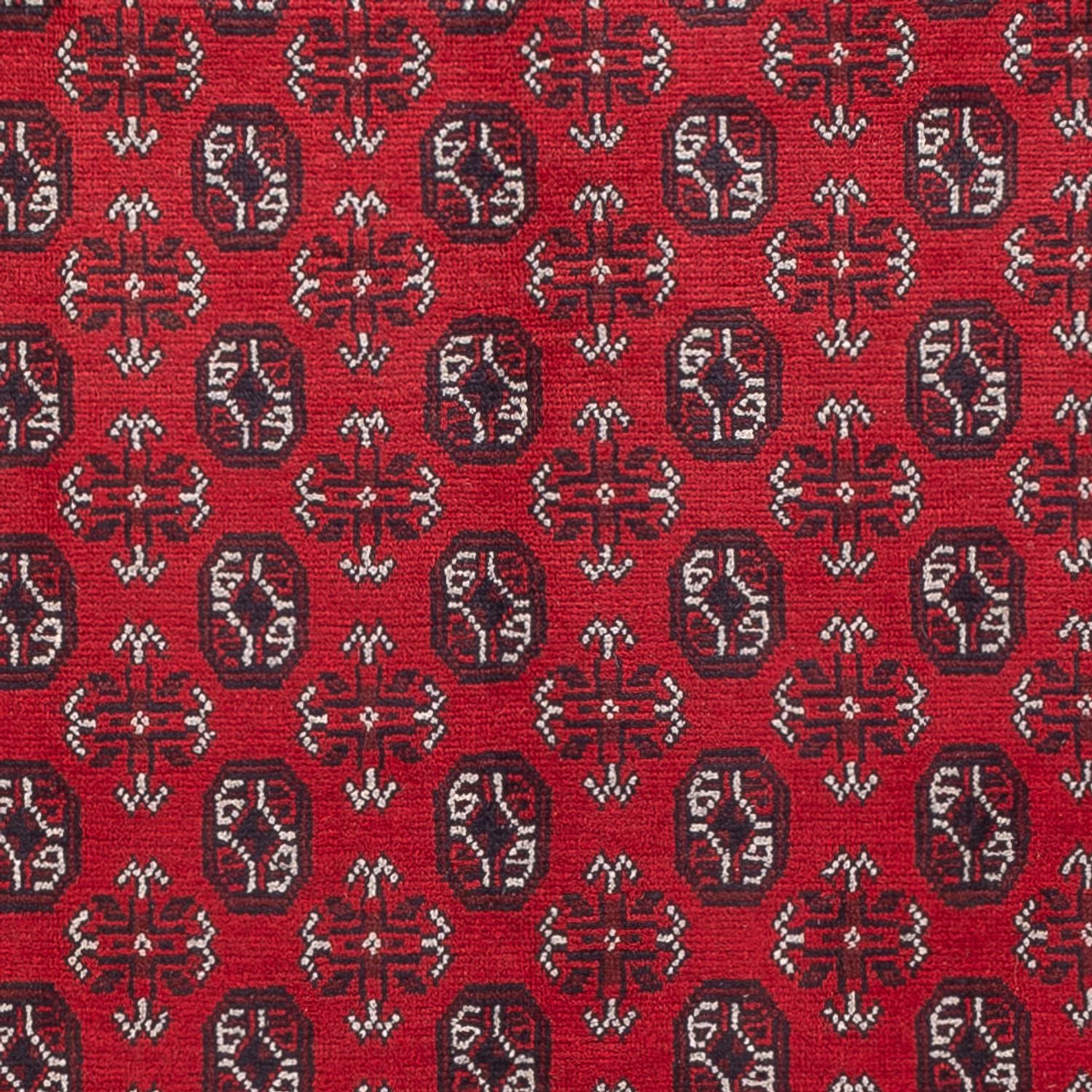 Afghaans tapijt - Filpa - 302 x 245 cm - rood