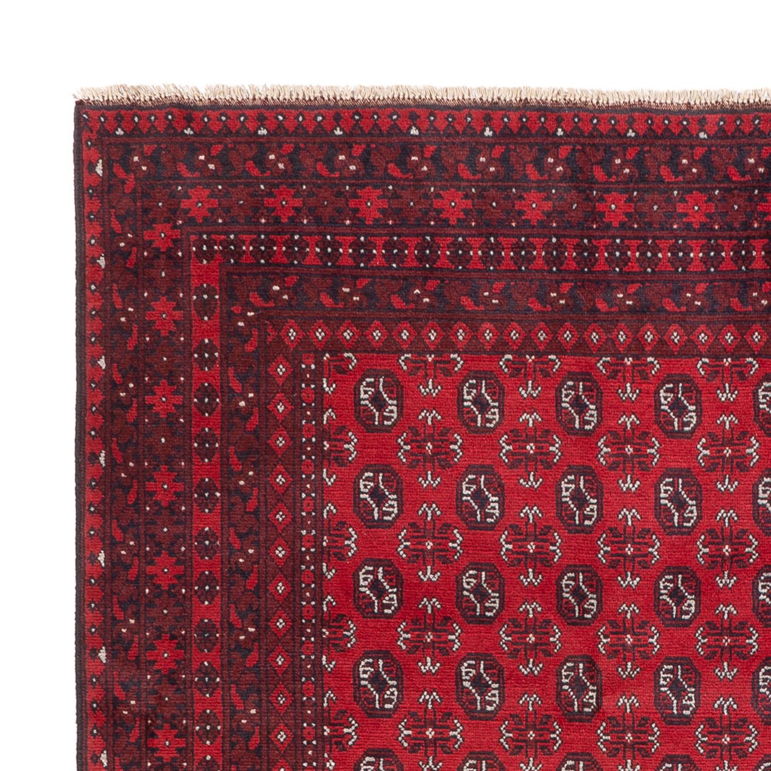 Afghan Teppich - Filpa - 302 x 245 cm - rot