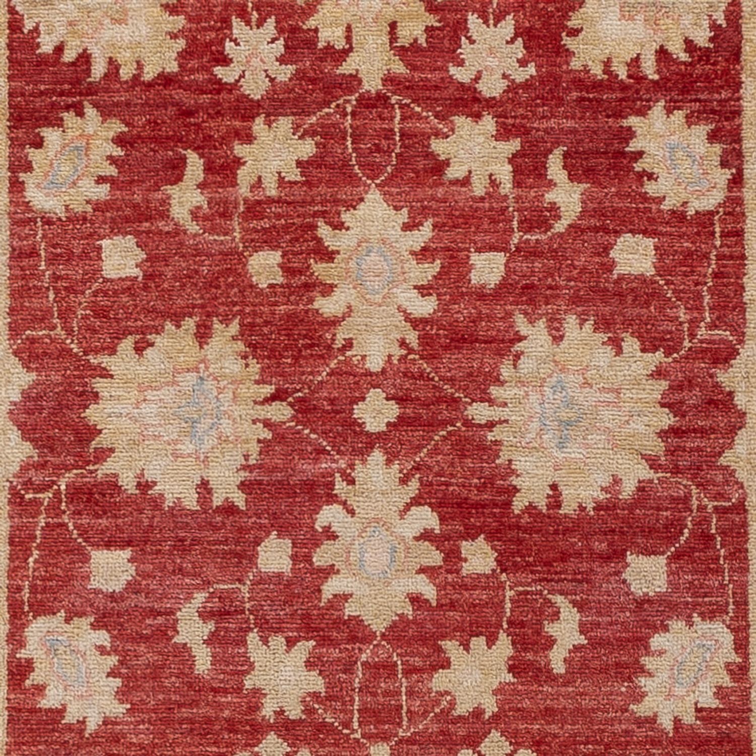 Runner Ziegler Carpet - 256 x 81 cm - röd