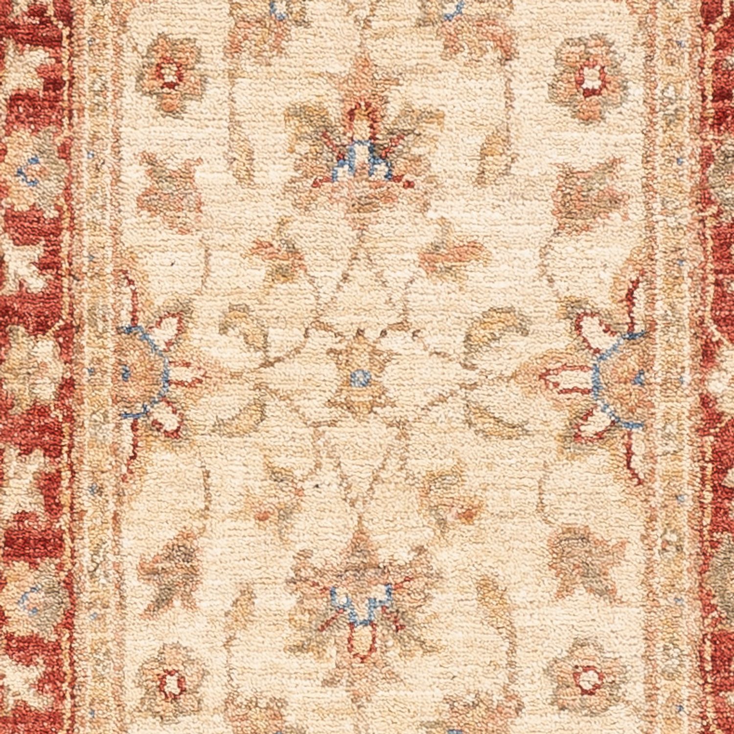 Runner Ziegler Carpet - 157 x 49 cm - beige