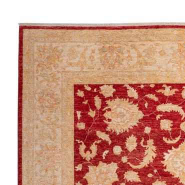 Ziegler Rug - 297 x 252 cm - red