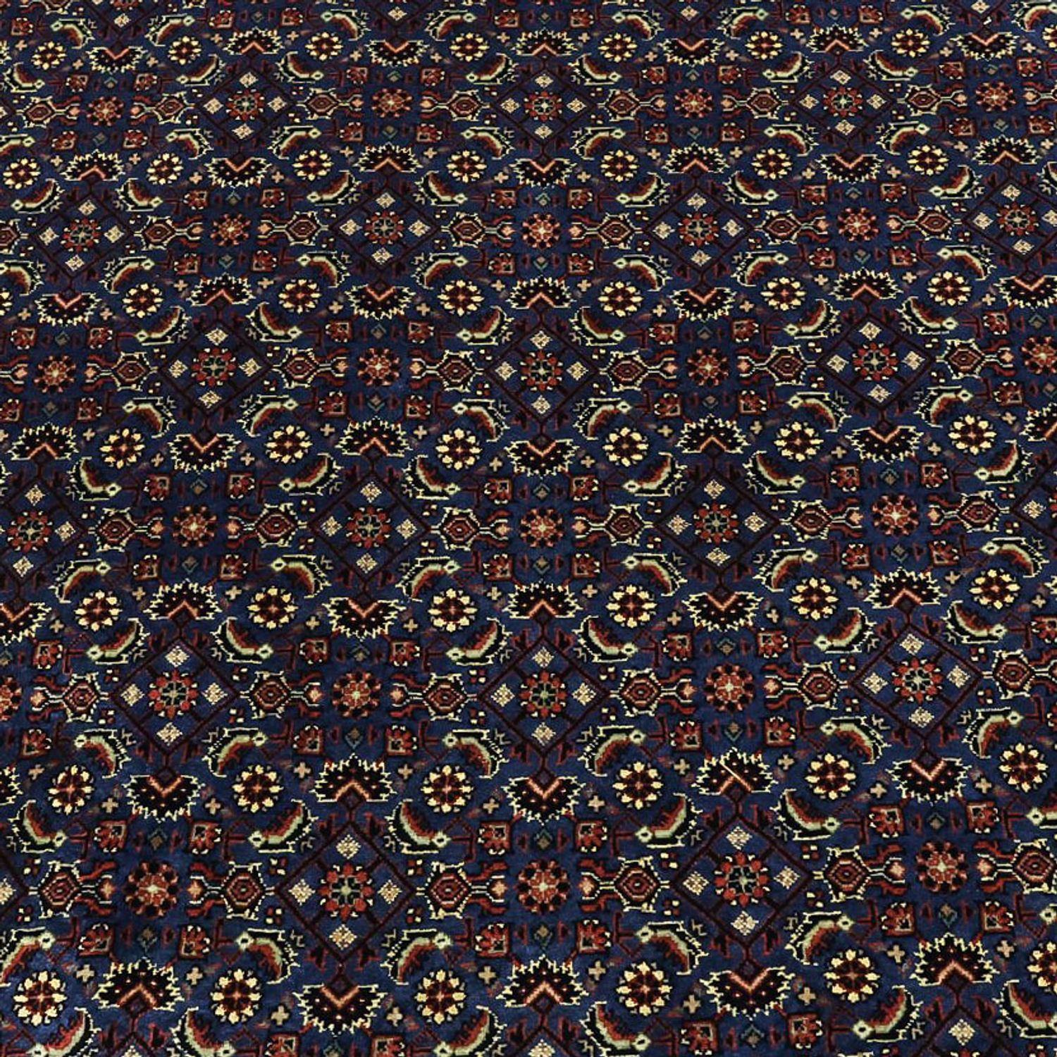 Perserteppich - Bidjar - Royal - 319 x 256 cm - dunkelblau