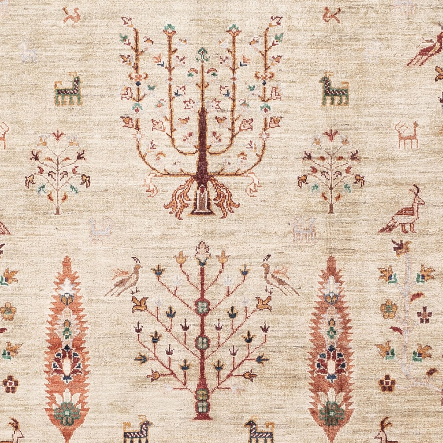 Ziegler Teppich - Ariana - 305 x 207 cm - beige