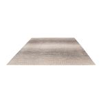 Designový koberec - 300 x 250 cm - světle šedá