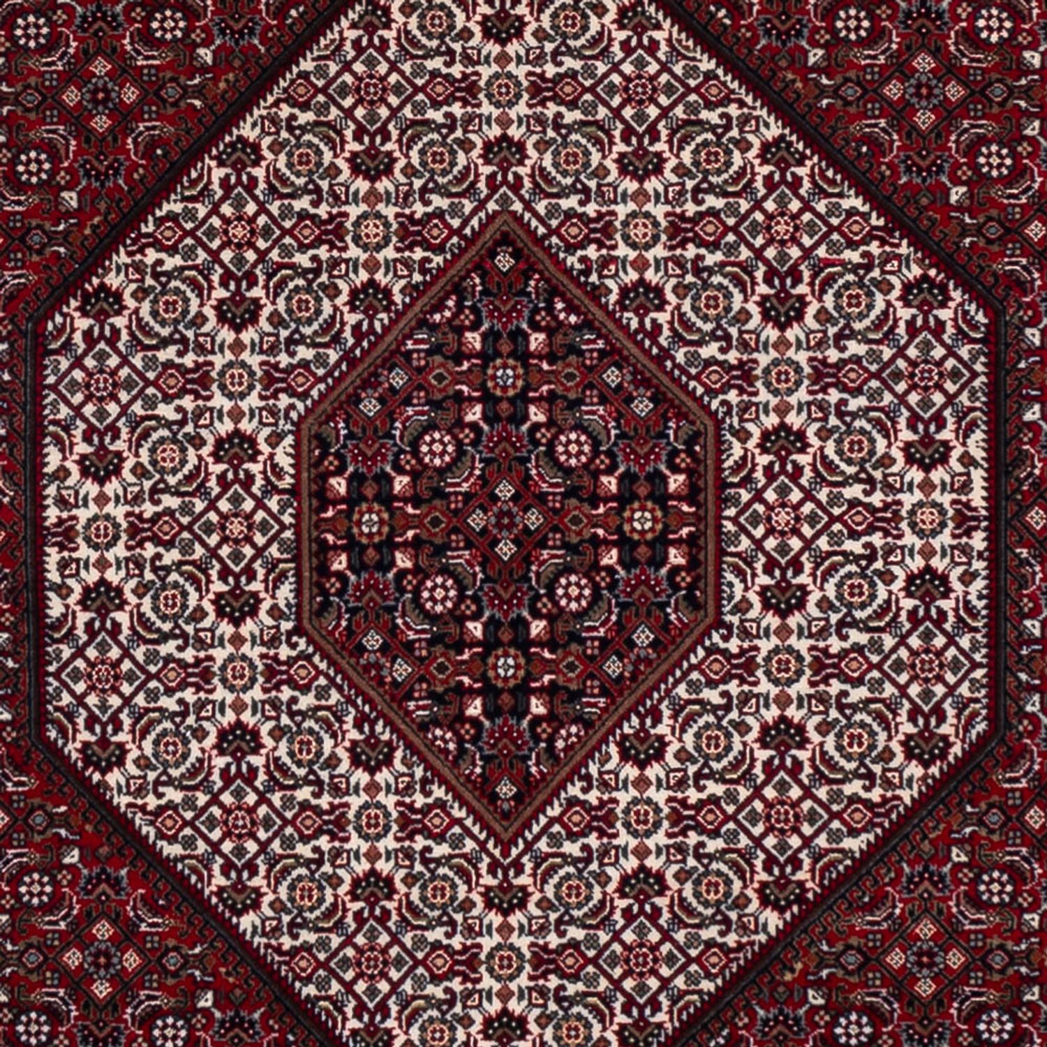 Orientaliska mattor - Bijar - Indus - 304 x 251 cm - mörkröd