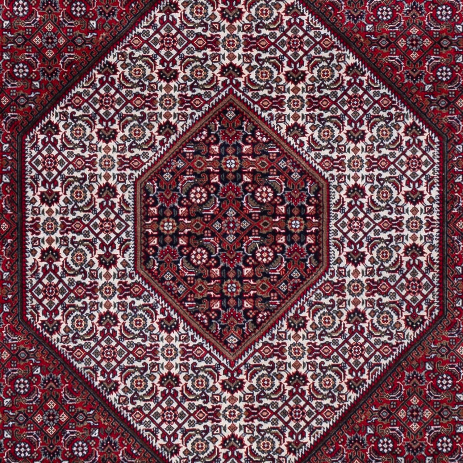 Orientaliska mattor - Bijar - Indus - 300 x 247 cm - mörkröd