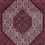 Orientaliska mattor - Bijar - Indus - 300 x 247 cm - mörkröd