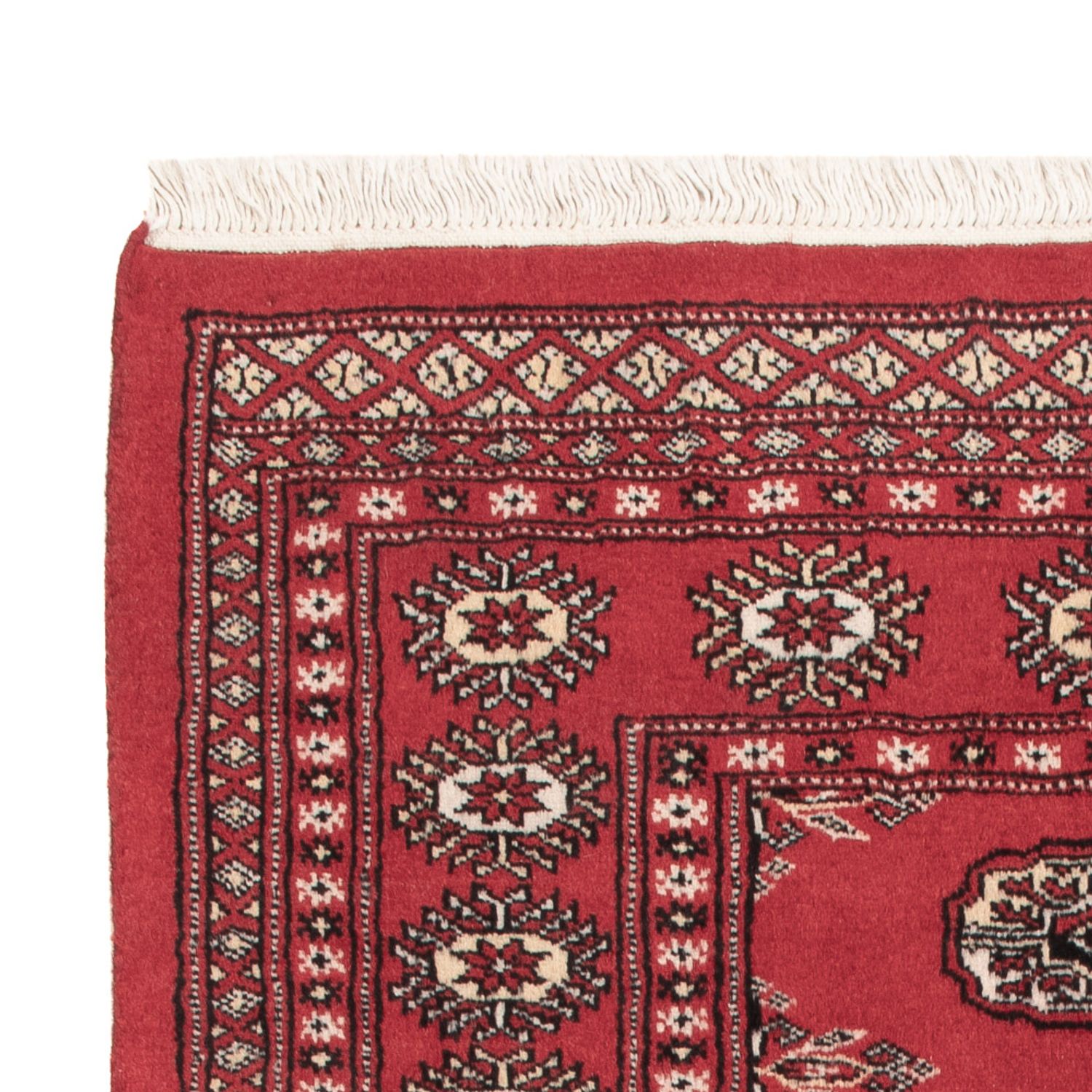 Pakistan Teppich - 150 x 90 cm - rot