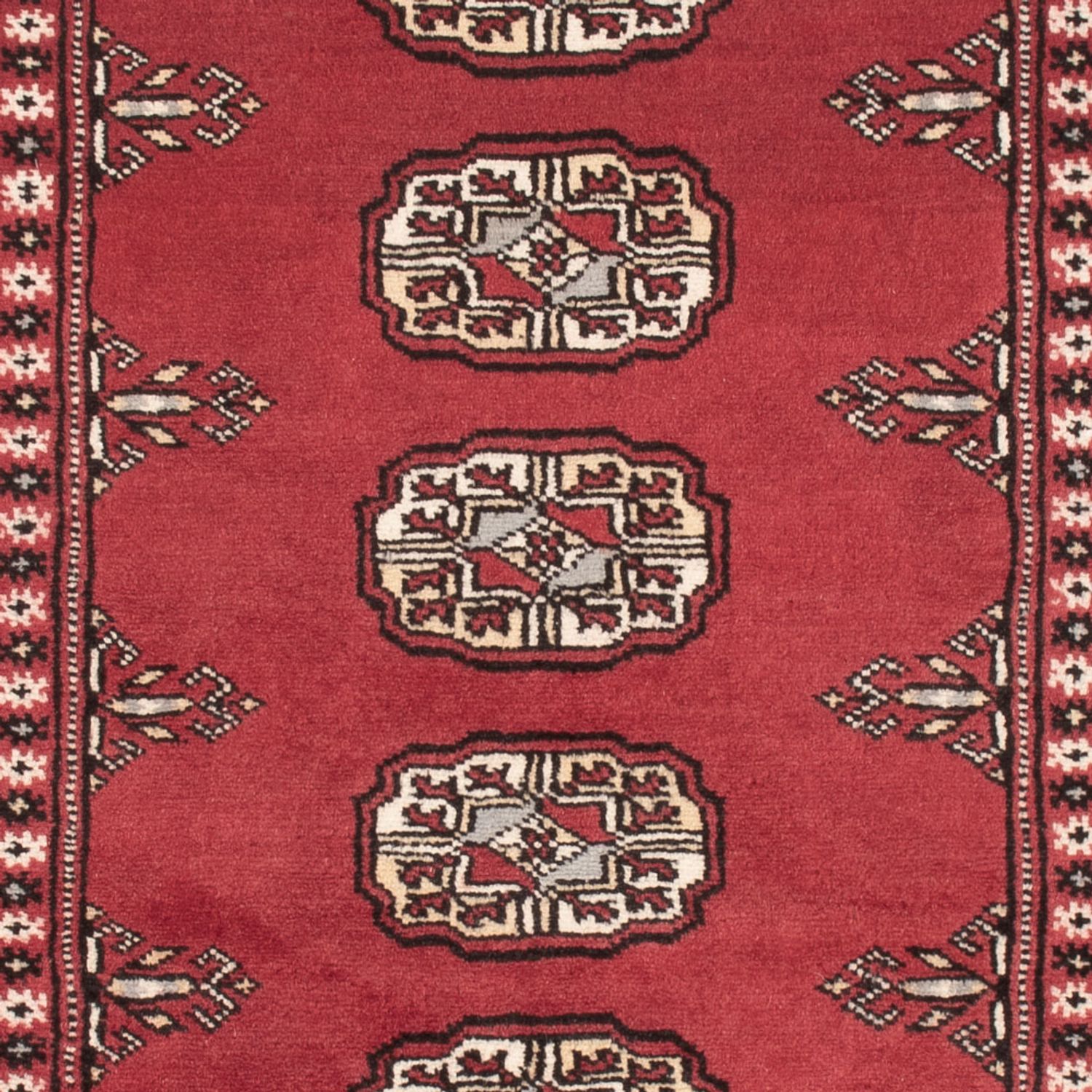 Pakistan Teppich - 159 x 92 cm - rot
