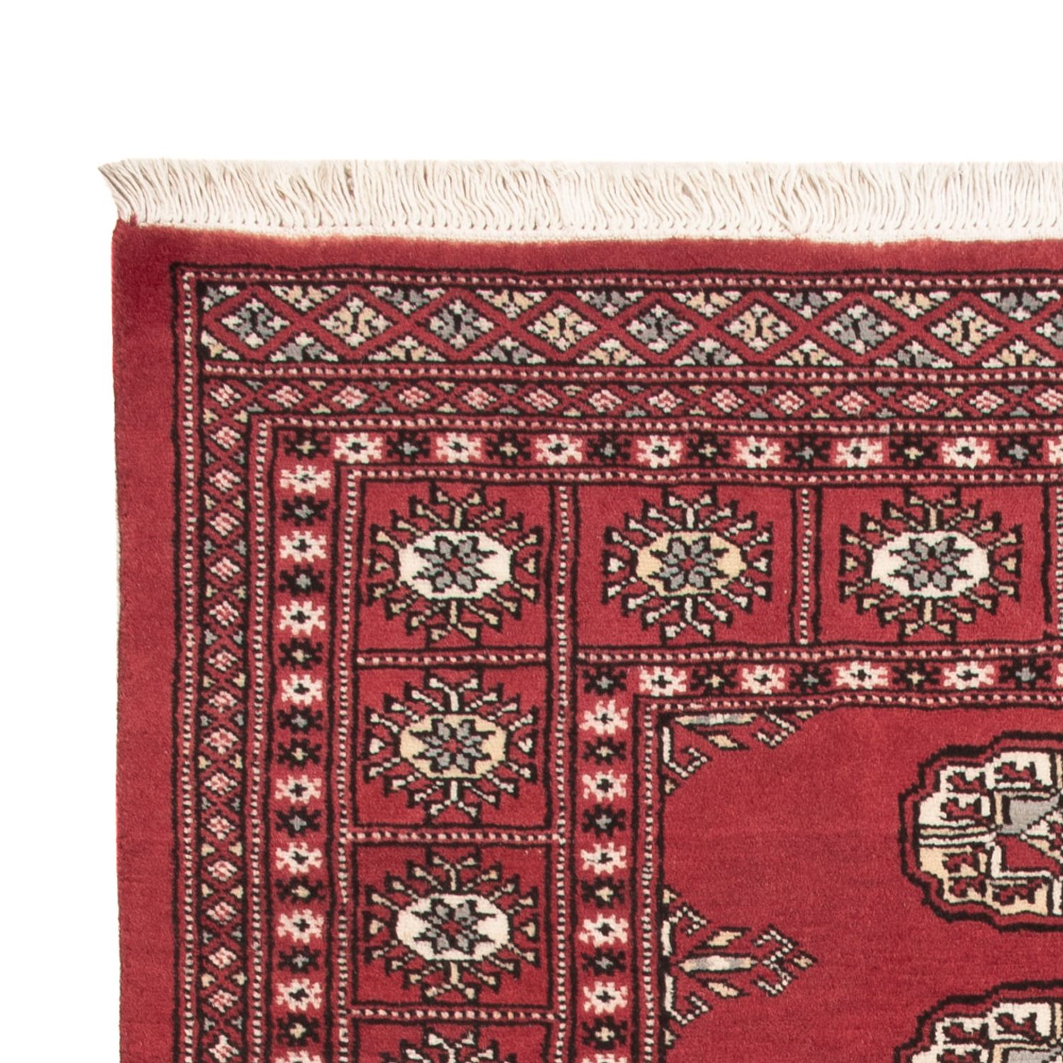 Pakistan Teppich - 159 x 92 cm - rot