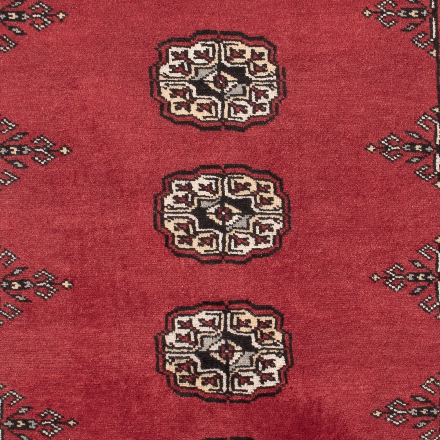 Pakistan Teppich - 152 x 97 cm - rot