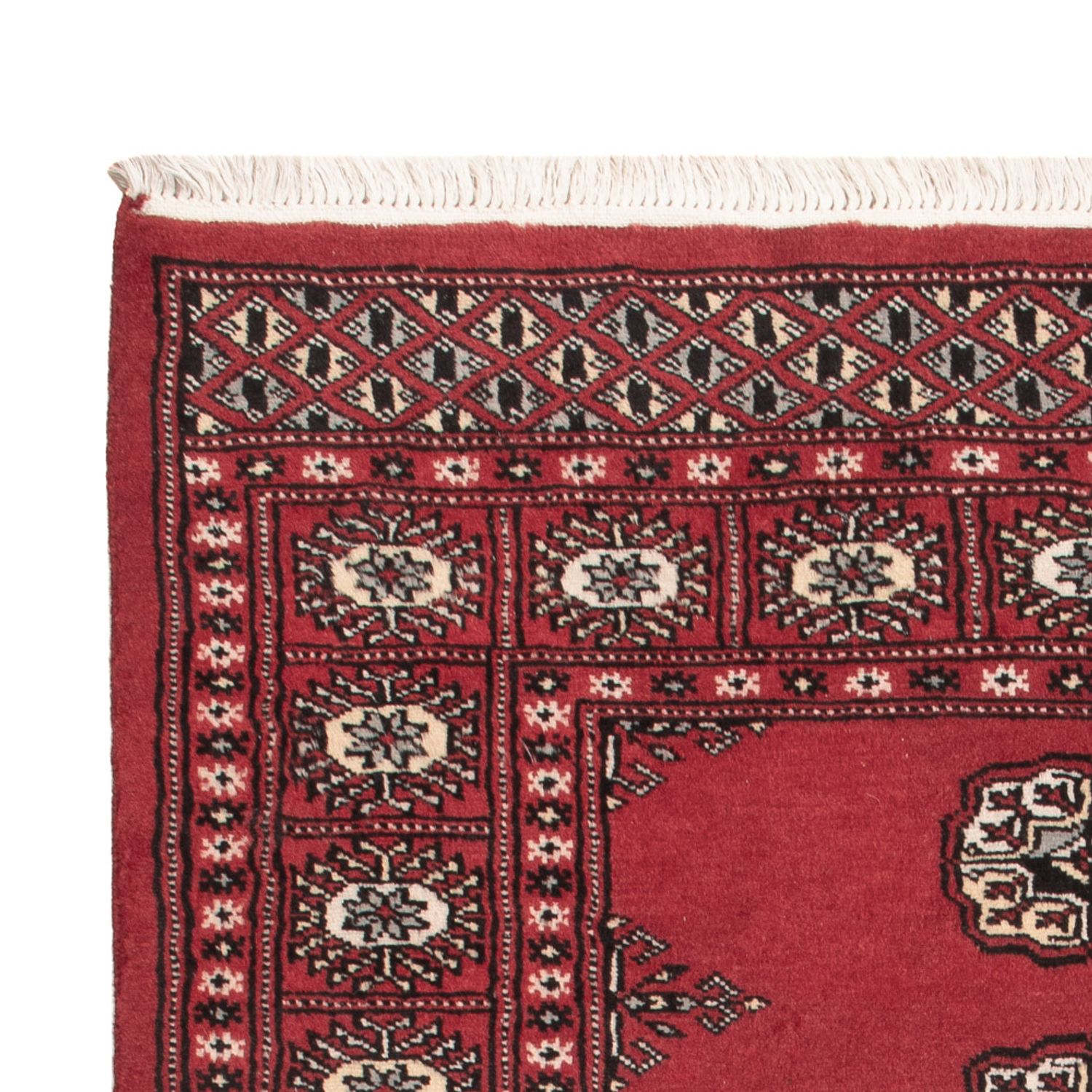 Pakistan Teppich - 152 x 97 cm - rot
