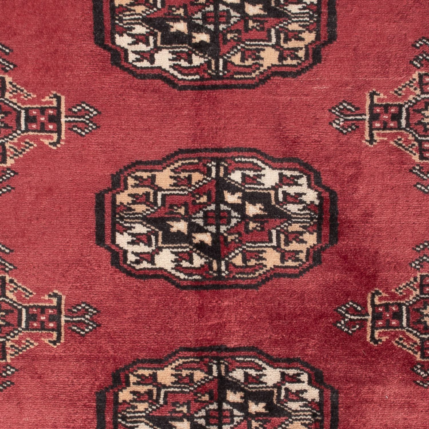 Alfombra Pakistani - 120 x 80 cm - rojo