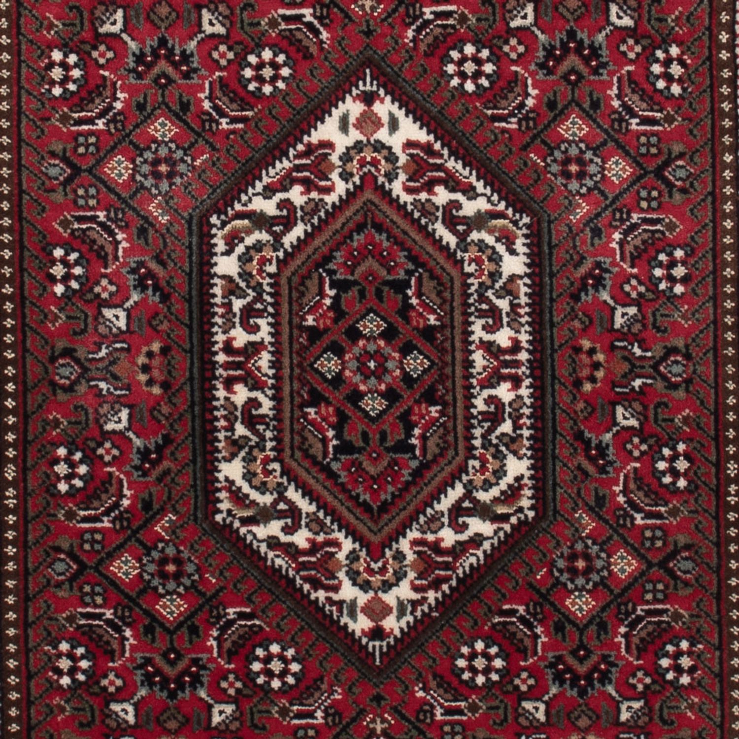 Orientální koberec - Bijar - Indus - 143 x 73 cm - tmavě béžová