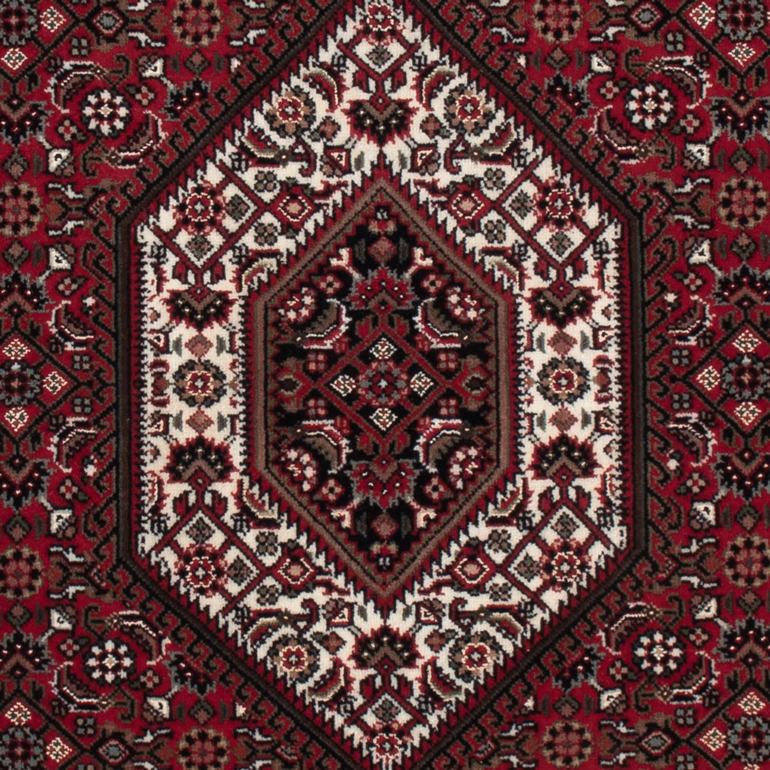 Orientální koberec - Bijar - Indus - 159 x 91 cm - tmavě béžová
