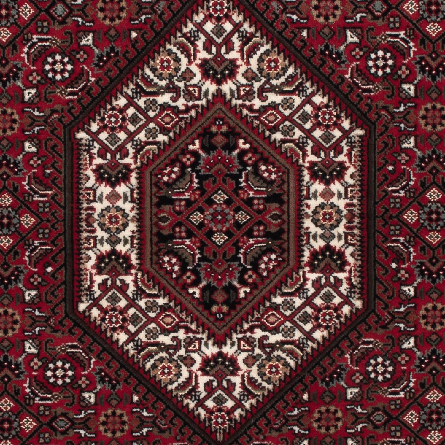 Orientteppich - Bidjar - Indus - 160 x 92 cm - dunkelbeige