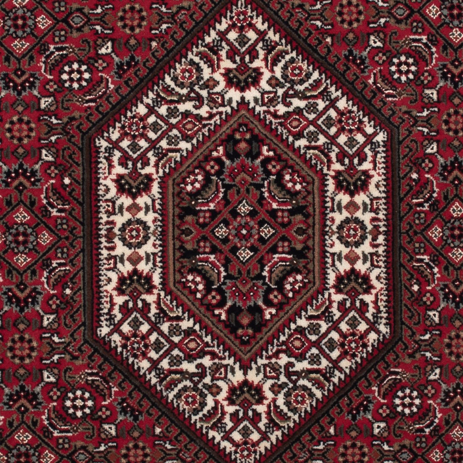 Orientteppich - Bidjar - Indus - 160 x 90 cm - dunkelbeige