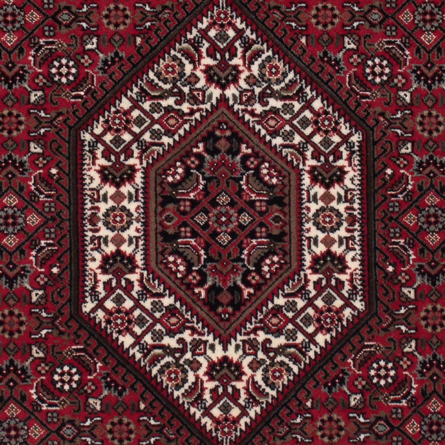 Orientteppich - Bidjar - Indus - 160 x 92 cm - dunkelbeige