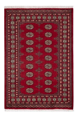Pakistani Rug - 189 x 126 cm - red