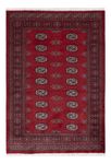 Pakistani Rug - 178 x 122 cm - red