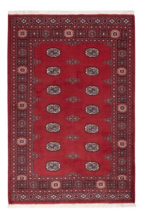 Pakistani Rug - 184 x 126 cm - red