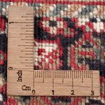 Oriental Rug - Bidjar - Indus - 183 x 127 cm - dark beige