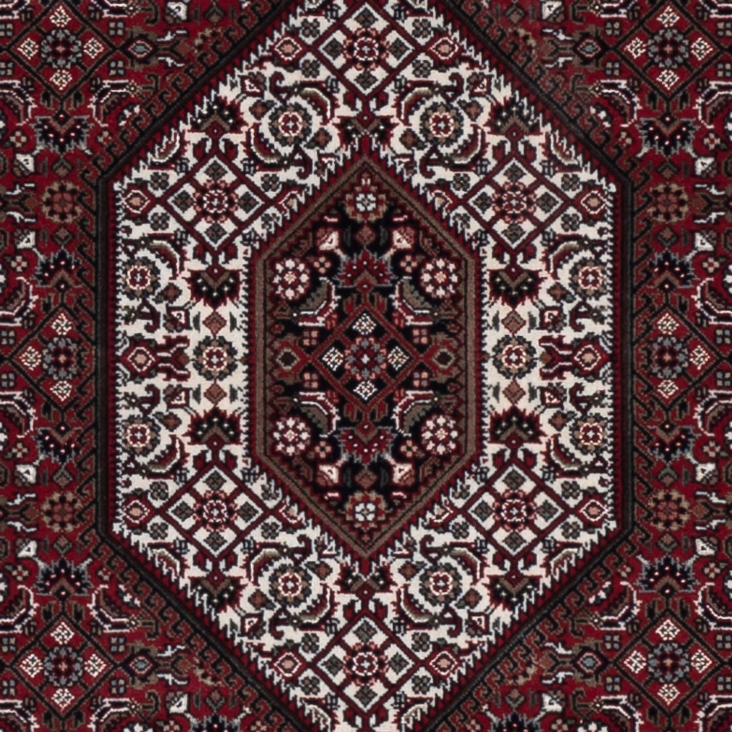 Oriental Rug - Bidjar - Indus - 182 x 122 cm - dark beige