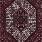 Oriental Rug - Bidjar - Indus - 179 x 122 cm - dark beige