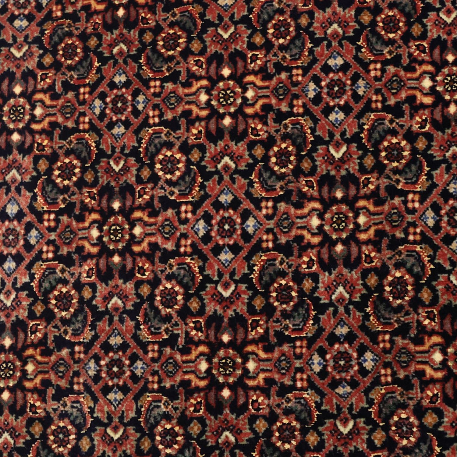 Persisk tæppe - Bijar - 152 x 88 cm - mørk beige