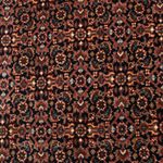 Persisk tæppe - Bijar - 152 x 88 cm - mørk beige