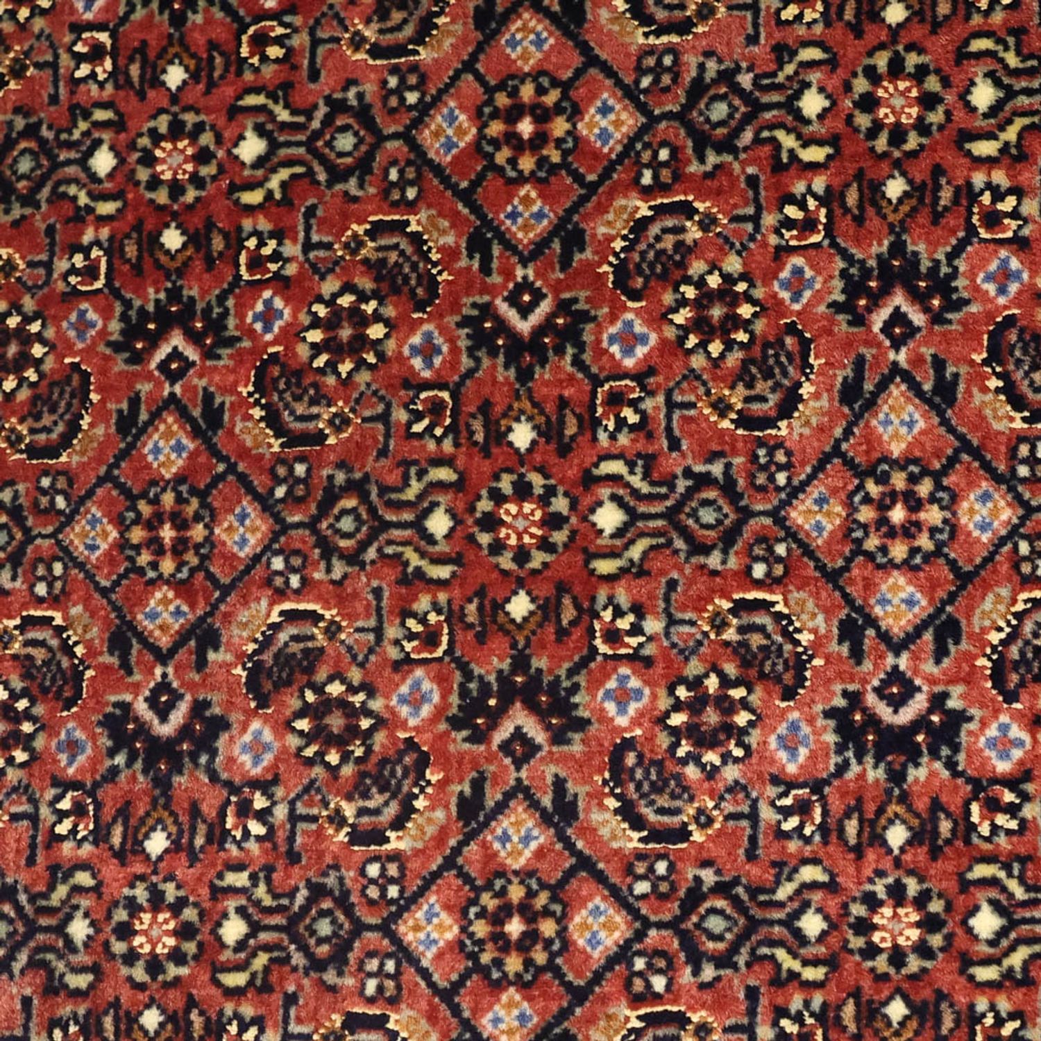 Persisk tæppe - Bijar - 142 x 72 cm - mørk beige
