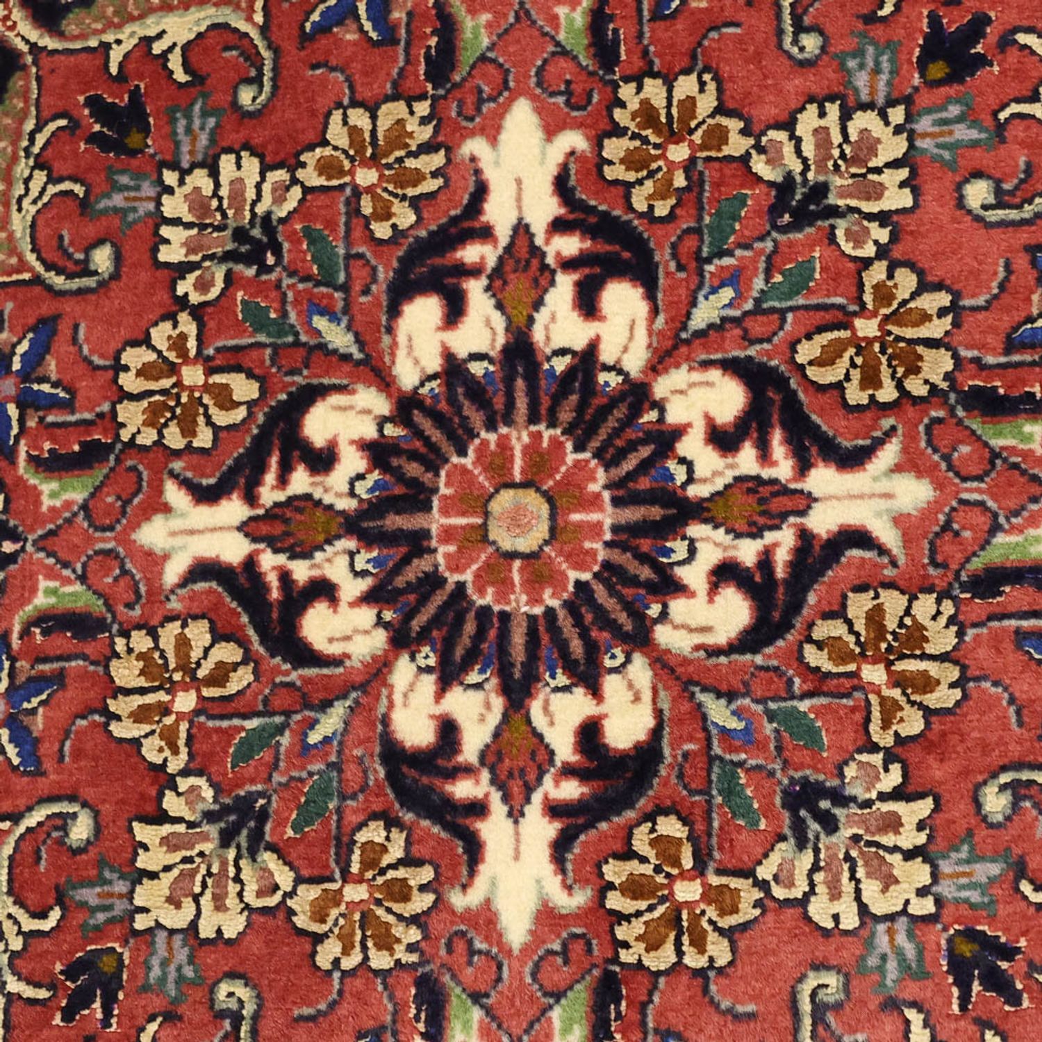 Perserteppich - Bidjar - Royal - 148 x 91 cm - rost