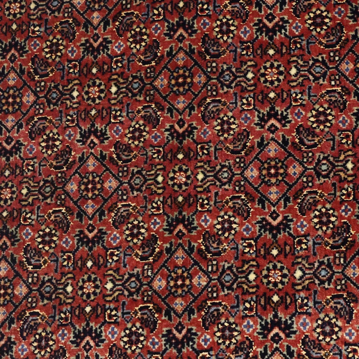 Perserteppich - Bidjar - Royal - 148 x 91 cm - dunkelbeige